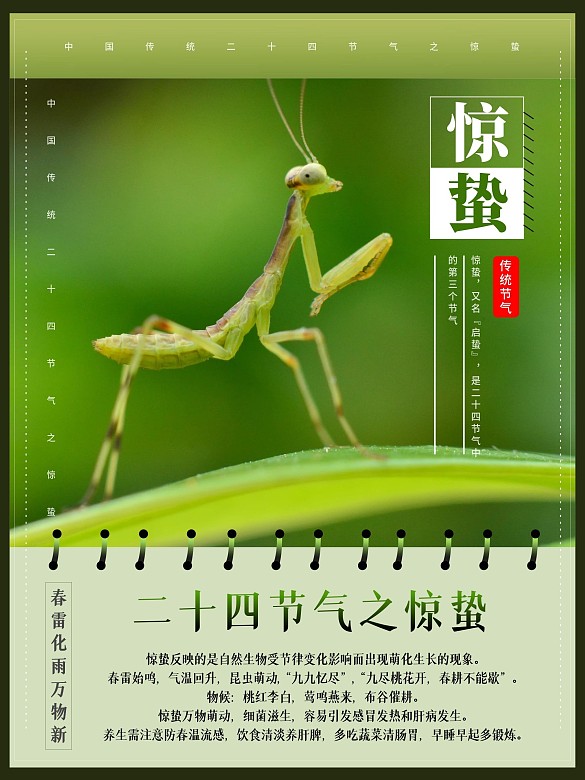 驚蟄中國(guó)傳統(tǒng)二十四節(jié)氣海報(bào)