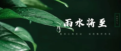 雨水将至 公众号用图