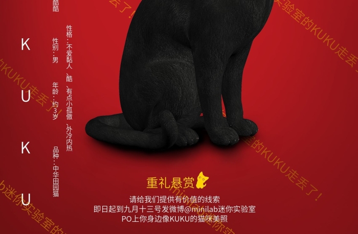 重禮懸賞求有心尋貓啟事宣傳海報
