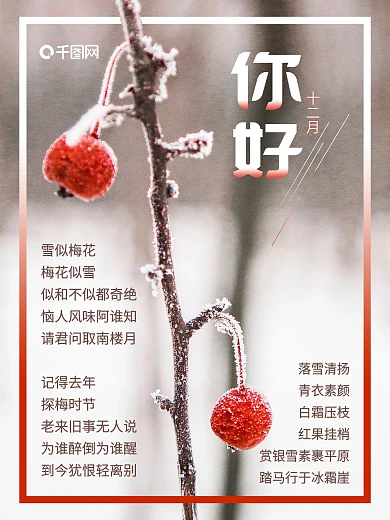 12月你好创意简约风景冬季植物海报