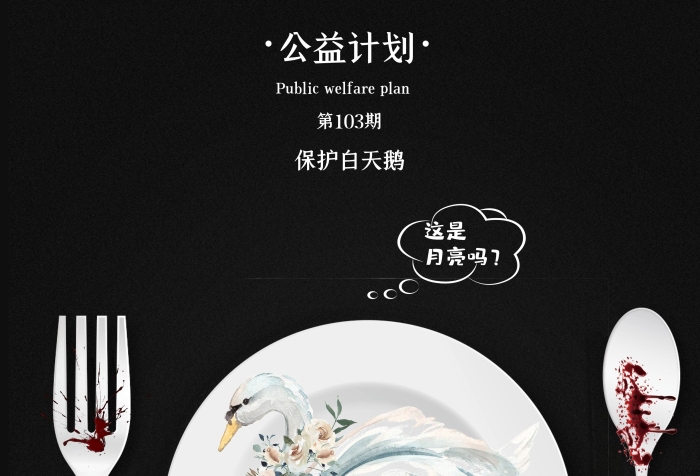 公益計(jì)劃我們的白天鵝還是白色海報(bào)
