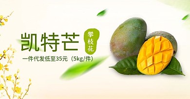 攀枝花凱特芒淘寶海報banner