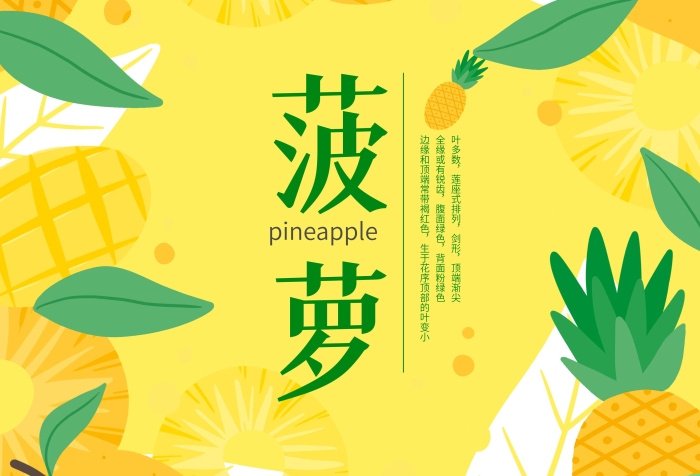 葉多數劍形插畫黃色菠蘿海報
