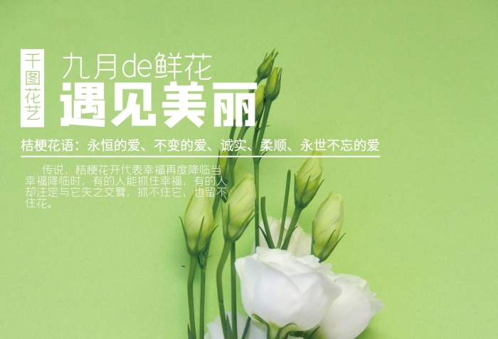 九月鮮花遇見(jiàn)美麗花店桔?；ù黉N(xiāo)海報(bào)
