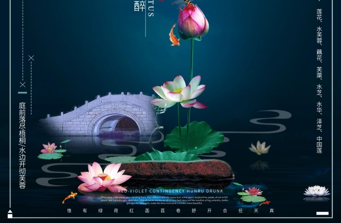 夜晚醉/荷塘月色賞荷花海報設(shè)計
