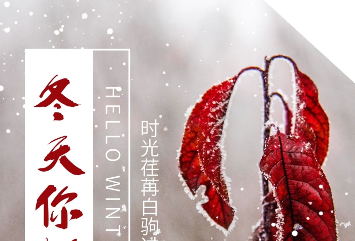 雪花雪景下雪紅色小花冬季海報

