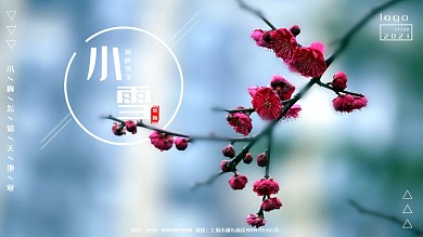 臘梅小雪照片合成圖