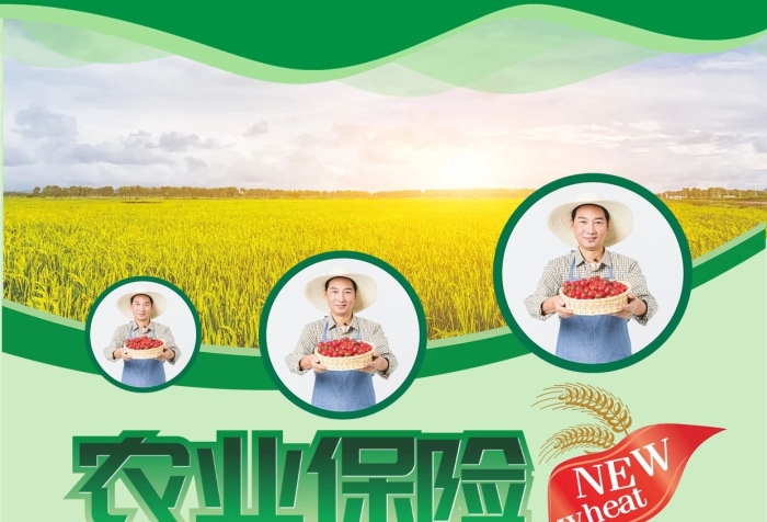 農(nóng)業(yè)保險(xiǎn)簡(jiǎn)稱(chēng)農(nóng)民農(nóng)業(yè)保險(xiǎn)宣傳單
