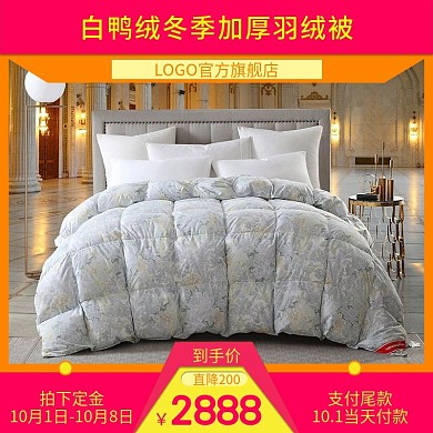 電商淘寶直通車(chē)白鴨絨冬季加厚羽絨被主圖