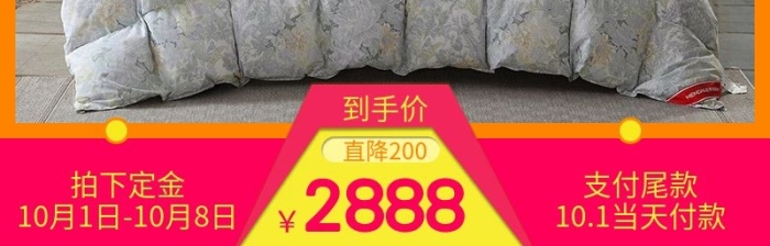 拍下定金鴨絨冬季加厚羽絨被主圖
