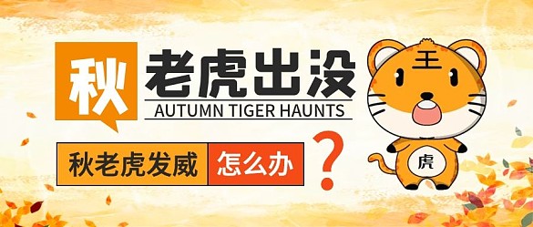 秋老虎公眾號(hào)封面圖