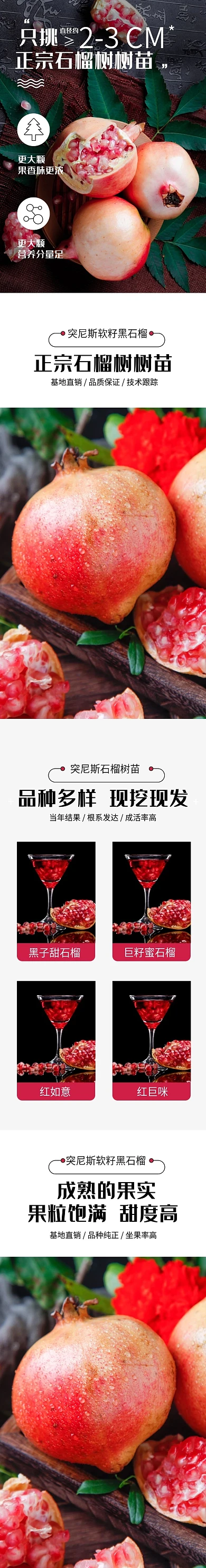 石榴树石榴苗详情页种植果树水果美食详情页