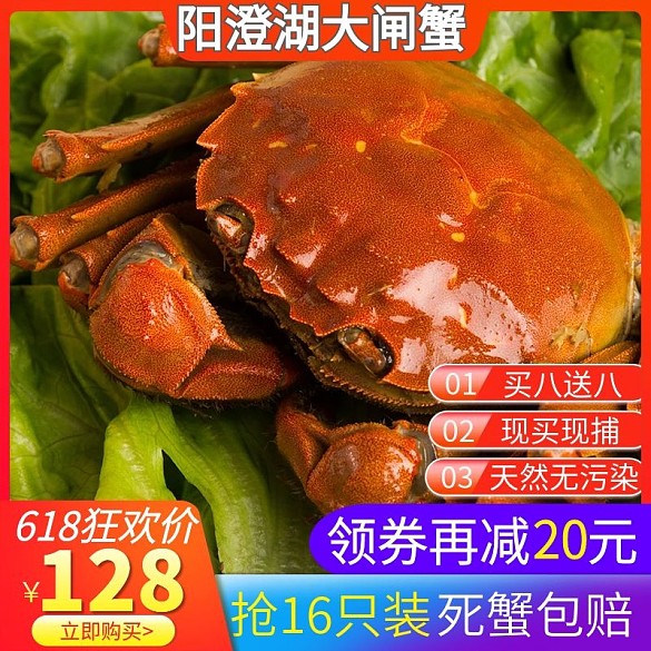 陽澄湖大閘蟹主圖