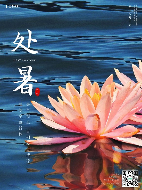 簡約處暑攝影圖海報