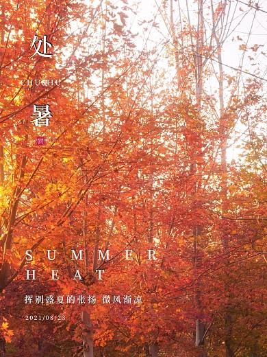 二十四節(jié)氣處暑紅葉樹林簡約海報(bào)