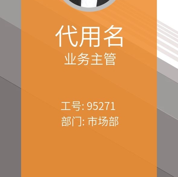 代用名商務(wù)企業(yè)通用豎向工作證
