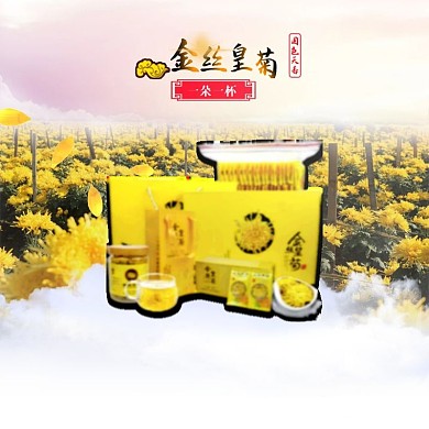 徽州金絲皇菊淘寶天貓素材