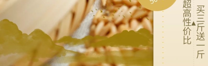 養(yǎng)生營養(yǎng)進(jìn)補(bǔ)美食糙米全胚芽米電商主圖
