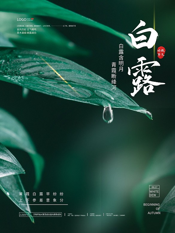 簡(jiǎn)約留白意境白露節(jié)氣海報(bào)