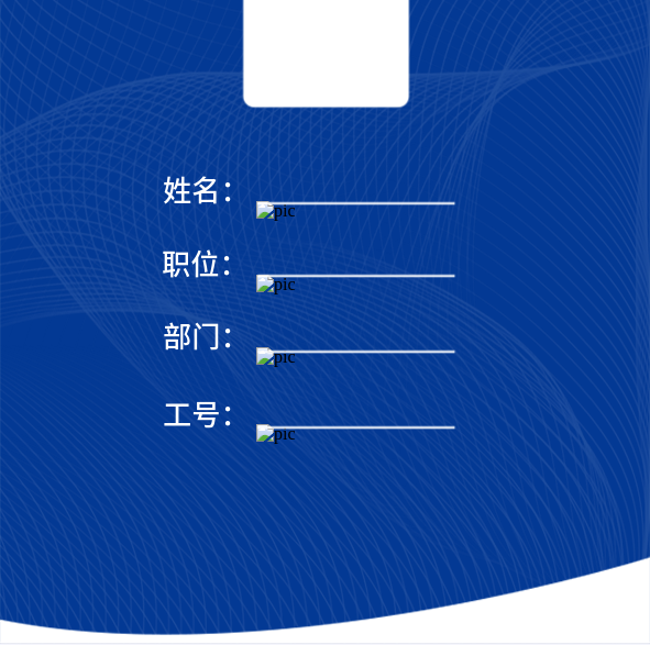 姓名職位企業(yè)藍(lán)底背景工作證平面廣告

