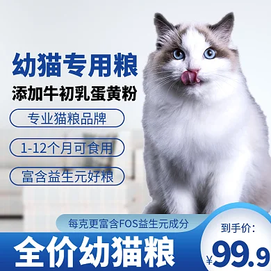 猫粮宠物狗粮幼猫专用主图