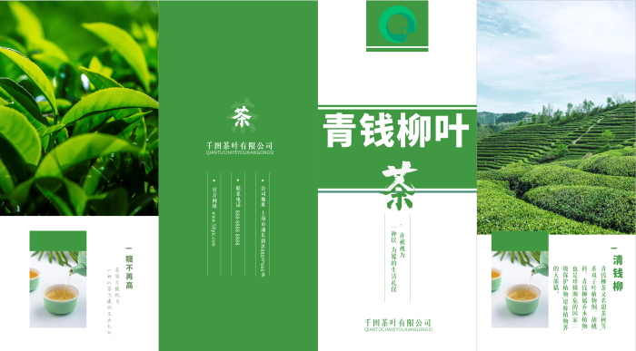 糖不再高折頁青錢柳茶綠色宣傳
