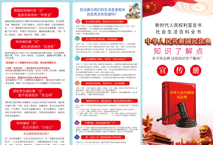 未申請的追認知識黨建單張三折頁
