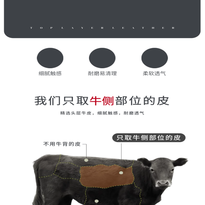 產(chǎn)品細(xì)節(jié)皮質(zhì)家具真皮沙發(fā)詳情頁(yè)
