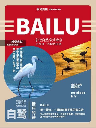 白鷺海報紅藍撞色彩色宣傳單詩意海報