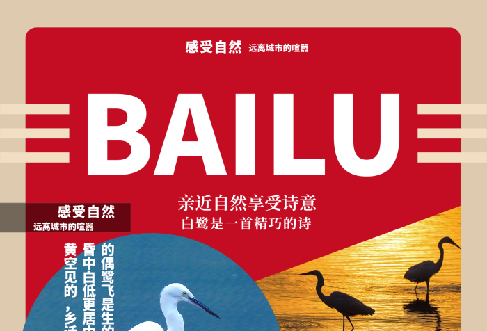 自然魅力撞色彩色宣傳單詩(shī)意海報(bào)
