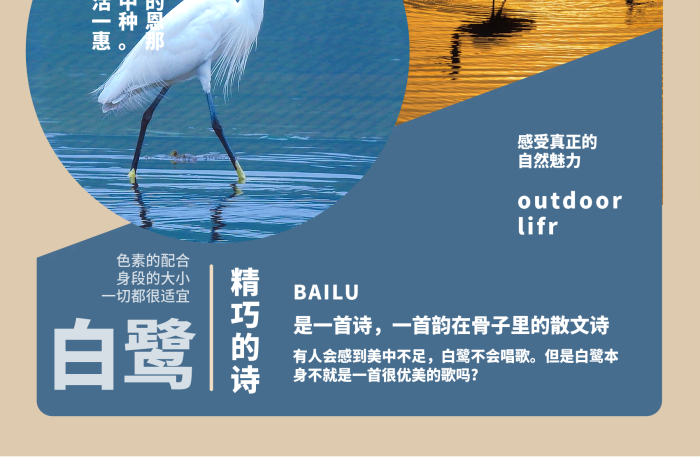 自然魅力撞色彩色宣傳單詩(shī)意海報(bào)

