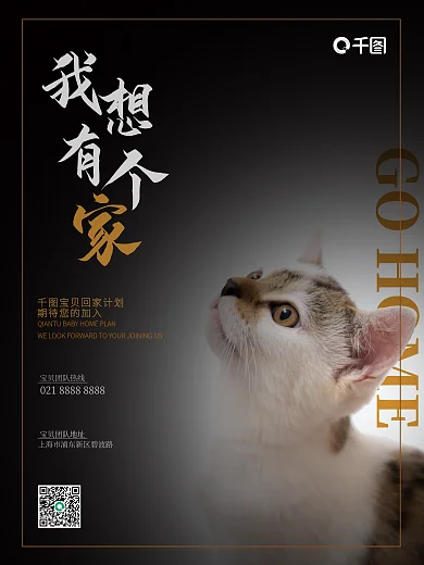 流浪宠物回家公益海报