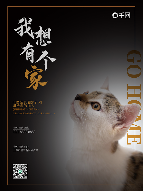 流浪寵物回家公益海報