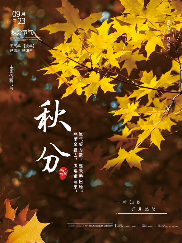 簡約大氣創(chuàng)意攝影圖秋分傳統(tǒng)二十四節(jié)氣海報
