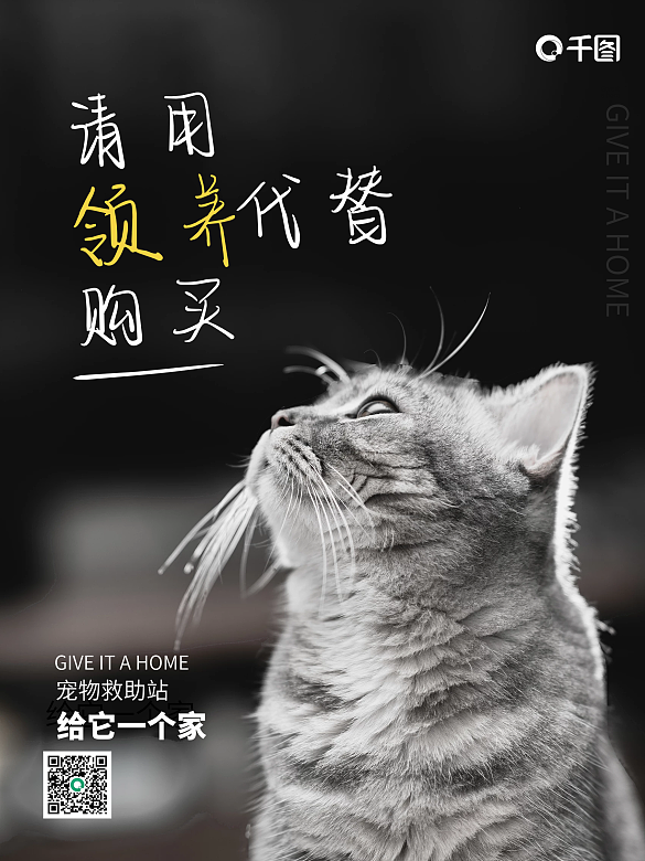 黑色簡(jiǎn)約寵物公益海報(bào)