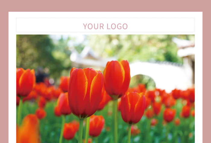 常思己過郁金香花卉朋友圈配圖日簽
