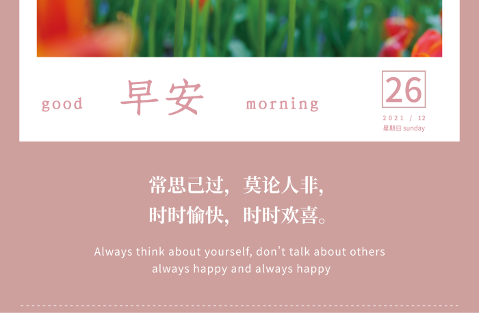 常思己過郁金香花卉朋友圈配圖日簽
