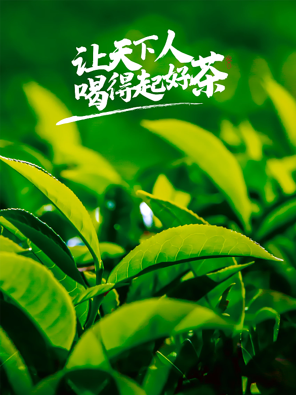 茶、好茶、喝茶、天下人