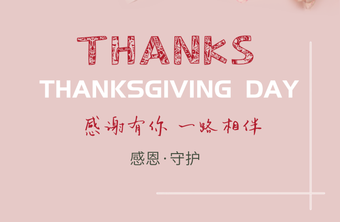 感恩守護(hù)感謝信花海報(bào)英文小清新
