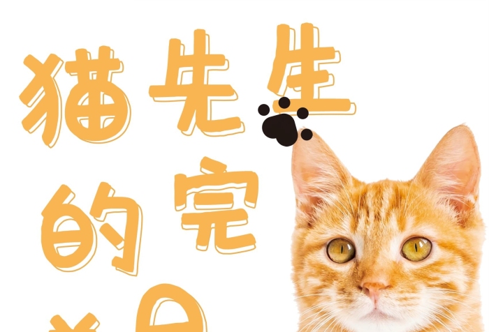 可愛寵物貓商業(yè)貓先生的完美日記
