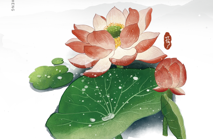 拱橋下荷花簡(jiǎn)潔水墨國(guó)潮海報(bào)設(shè)計(jì)
