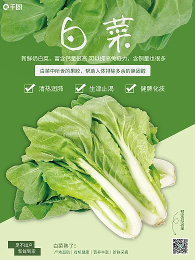 绿色有机蔬菜白菜销售海报