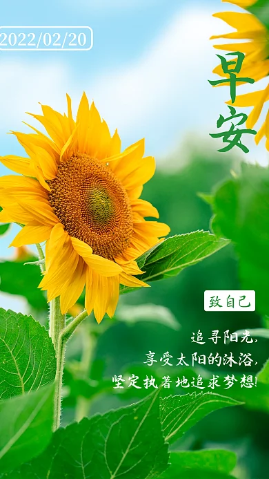 向日葵早安你好励志正能量日签海报