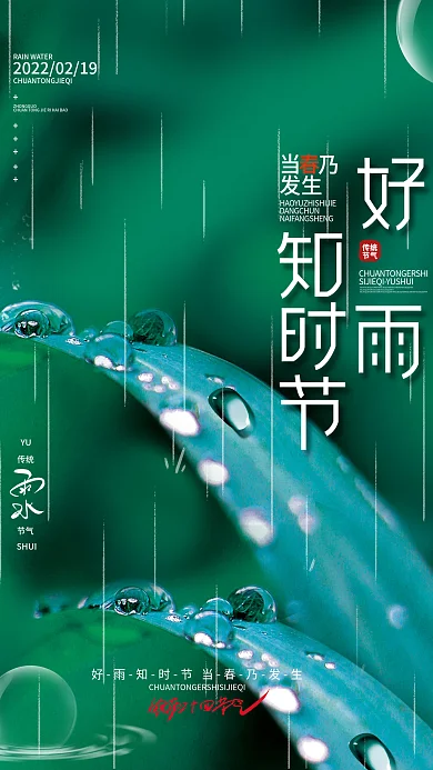 简约雨水节气摄影图海报