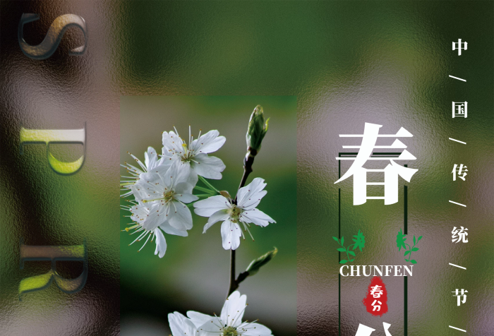 玻璃模糊質(zhì)感背景春分spring