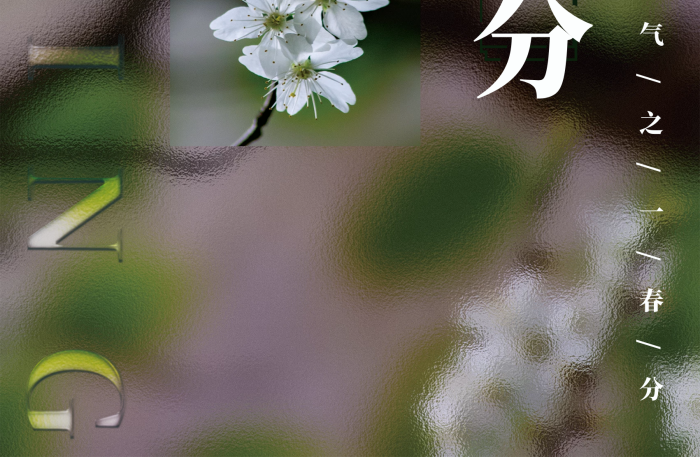 玻璃模糊質(zhì)感背景春分spring