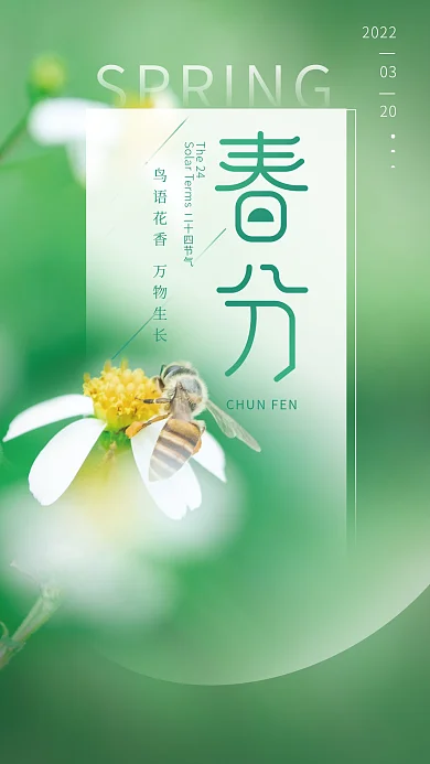 简约小清新春分节气摄影图海报