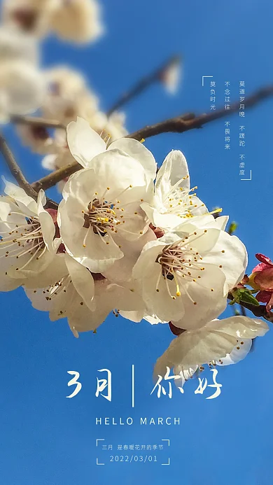 你好三月春暖花开