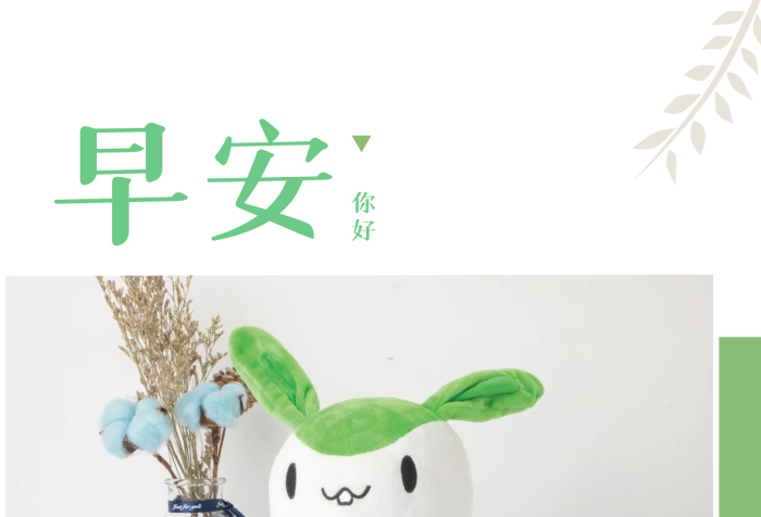 可愛玩偶干花小清能量早安海報勵志每日一簽