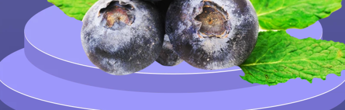 食品水果蓝莓直通车主图餐饮美食